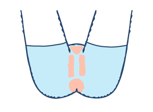 VIOイメージイラスト